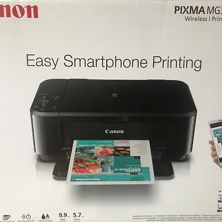 Roses & Ivy, Rue Du Congres Apartmán Nice