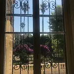 Roses & Ivy, Rue Du Congres 니스