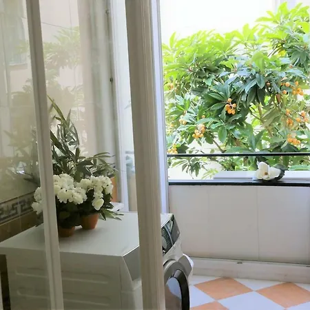 公寓 Roses & Ivy, Rue Du Congres *